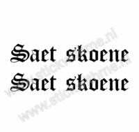Saet skoene set van 2