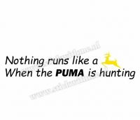 Nothing runs like a deere when the puma is hunting