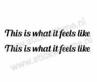 This is what it feels like - per 2 stuks