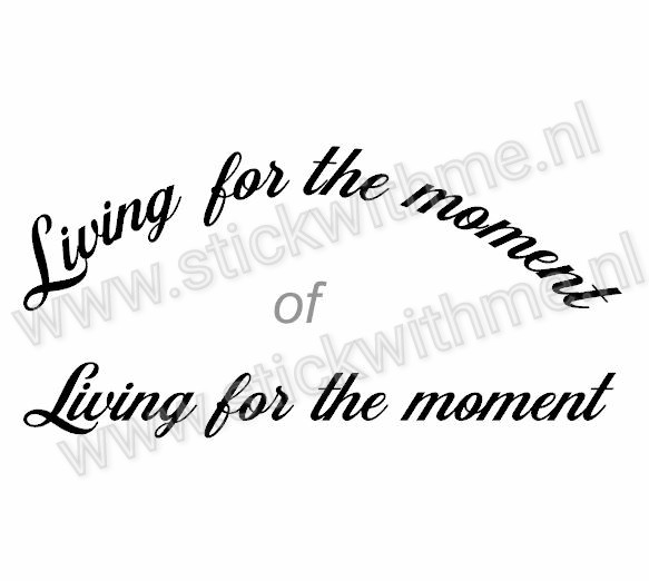 Living for the moment - per stuk