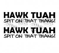 Hawk Tuah - Spit on that thang
